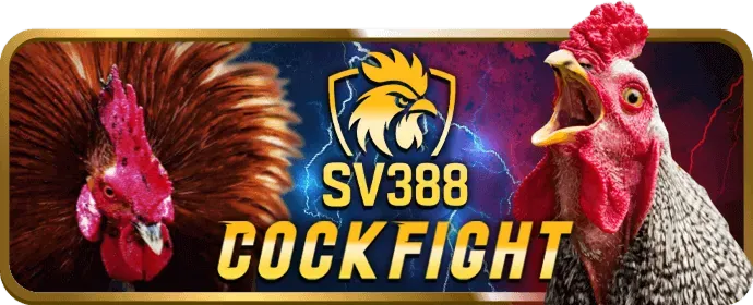 Cá cược bóng rổ W88